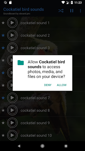 Cockatiel Sounds - Image screenshot of android app