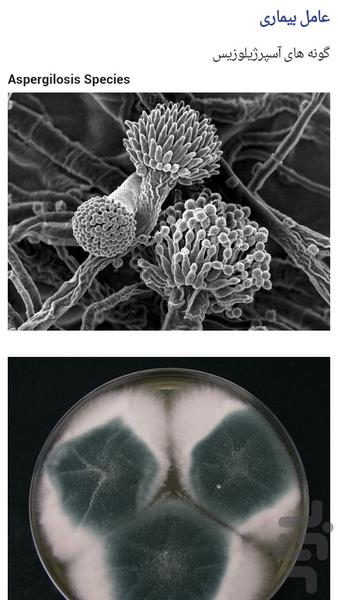 مرگبارترین بیماری های عفونی - عکس برنامه موبایلی اندروید