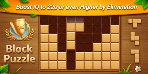 Qblock: Wood Block Puzzle Game - Gameplay image of android game