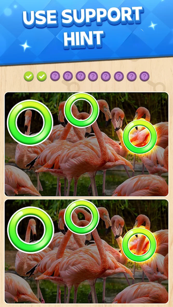 Find the Difference: Spot it - Gameplay image of android game