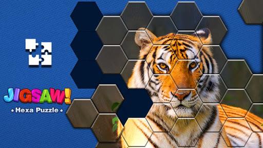 Jigsaw Puzzle -Hexa Block Game - عکس بازی موبایلی اندروید