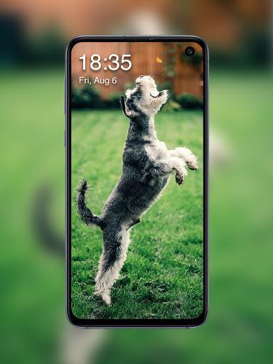 Dog Lock Screen - عکس برنامه موبایلی اندروید