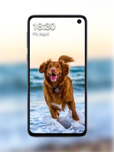 Dog Lock Screen - عکس برنامه موبایلی اندروید