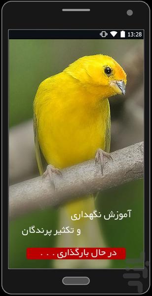 Breeding Birds - Image screenshot of android app