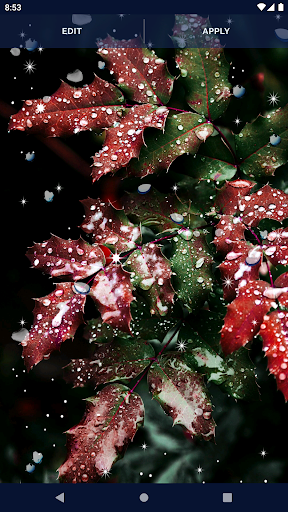 Water RainDrops Live Wallpaper - Image screenshot of android app