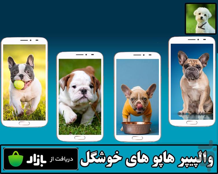 والپیپر هاپوهای خوشگل - Image screenshot of android app