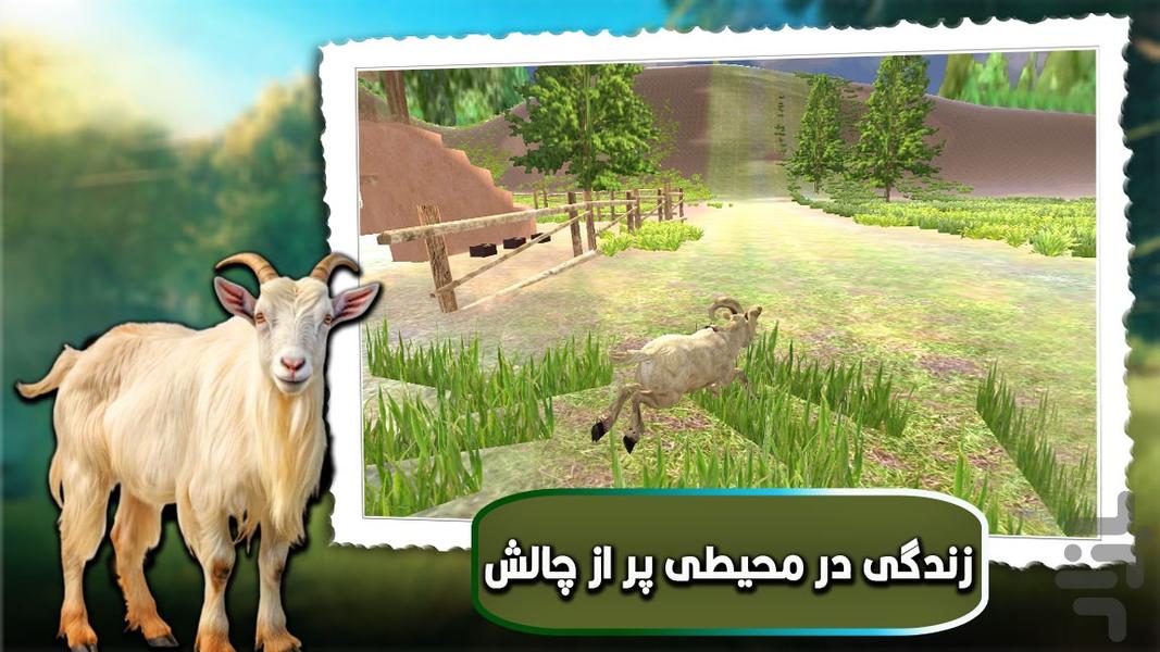 بازی بز وحشی - عکس بازی موبایلی اندروید