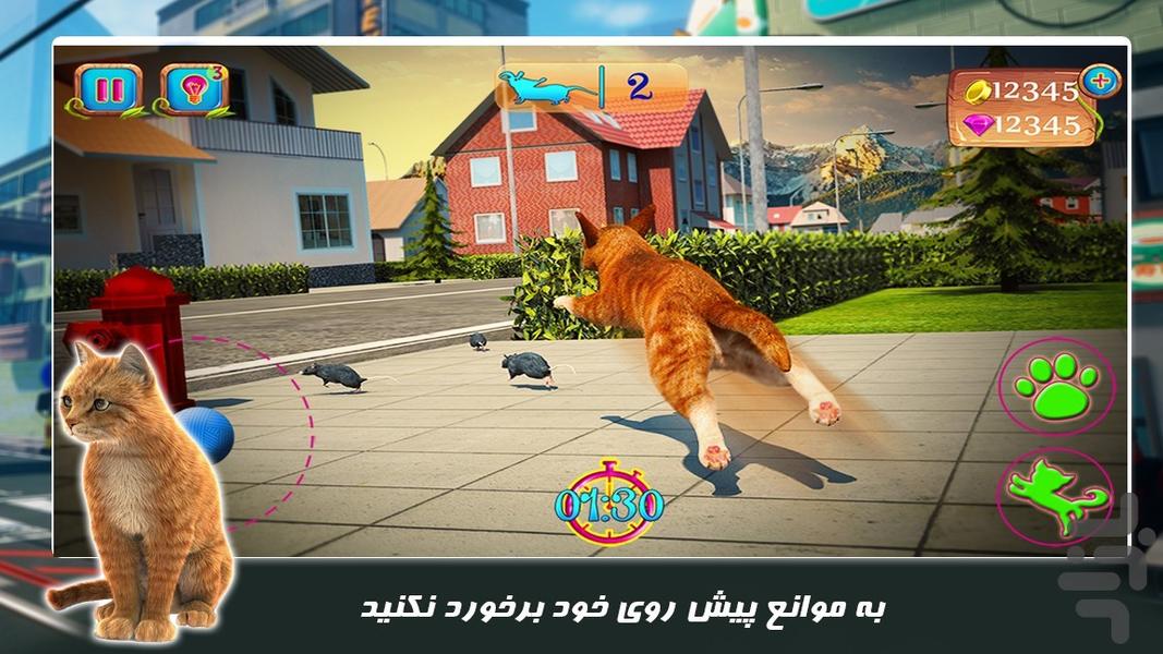 بازی حیات وحش جدید | گربه کوچولو - Gameplay image of android game