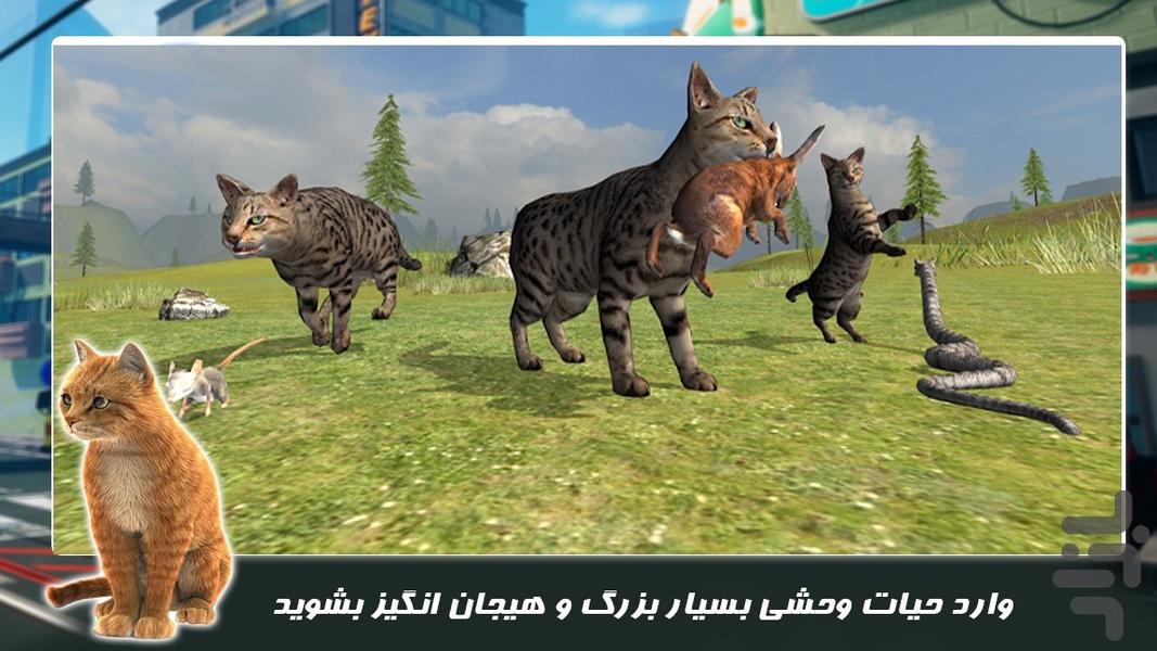 بازی حیات وحش جدید | گربه کوچولو - Gameplay image of android game