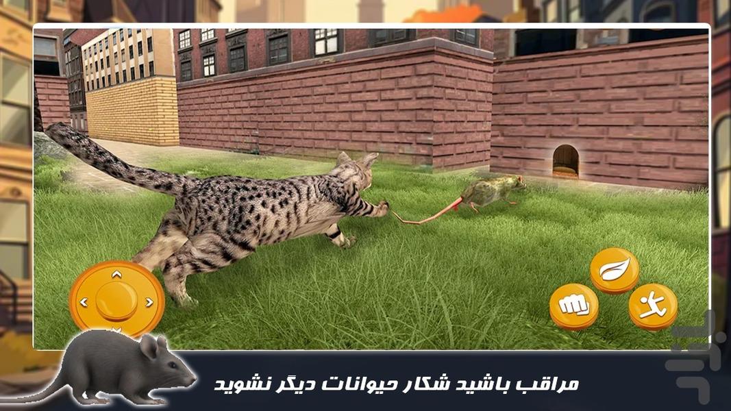 بازی حیات وحش جدید | زندگی موش ها - Gameplay image of android game