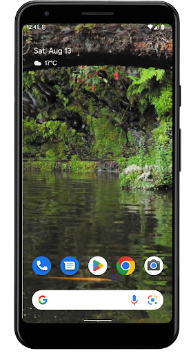 Real pond with Koi - Image screenshot of android app