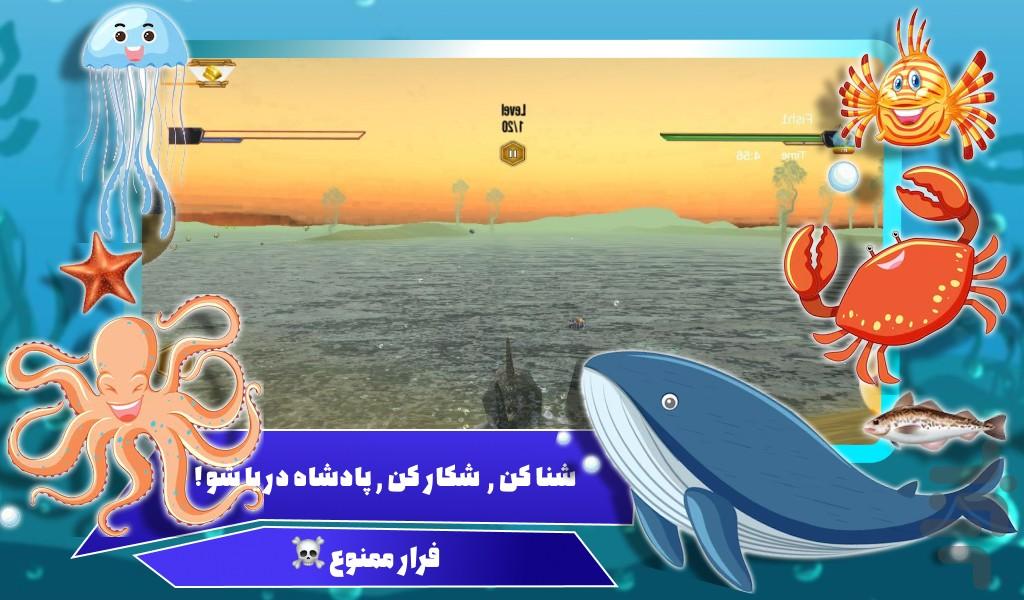 بازی کوسه - عکس بازی موبایلی اندروید