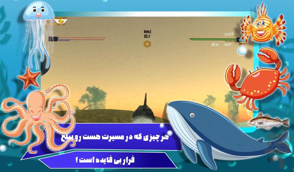 بازی کوسه - عکس بازی موبایلی اندروید