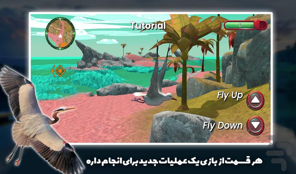 بازی حیات وحش | زندگی پرندگان دریایی - Gameplay image of android game