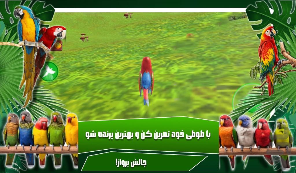 بازی طوطی - Gameplay image of android game