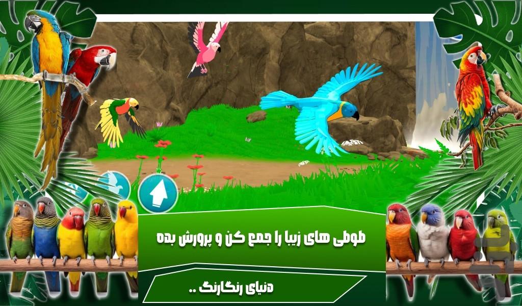 بازی طوطی - Gameplay image of android game