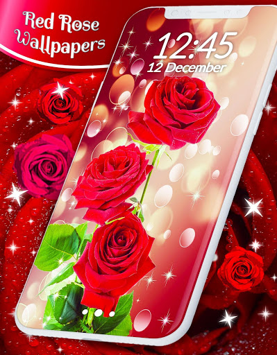 Red Rose Live Wallpaper  APK Download for Android  Aptoide