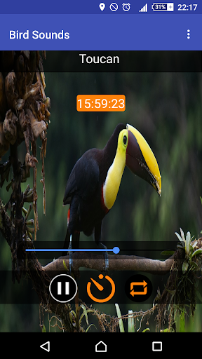 Relax & Sleep with Bird Sounds - Image screenshot of android app