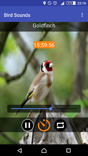 Relax & Sleep with Bird Sounds - Image screenshot of android app