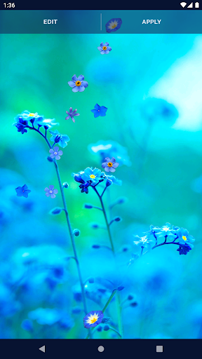 Blue Flowers Live Wallpaper - عکس برنامه موبایلی اندروید