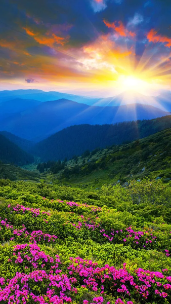 Nature HD Wallpapers - Image screenshot of android app