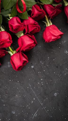 Rose HD Wallpapers - عکس برنامه موبایلی اندروید