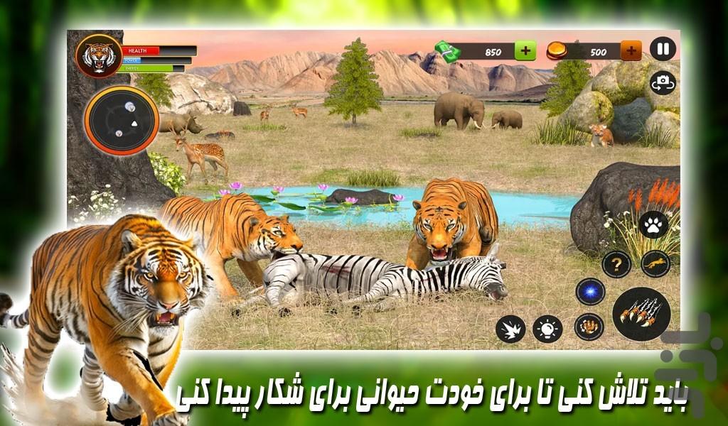 بازی زندگی حیات وحش ببر ها - Gameplay image of android game