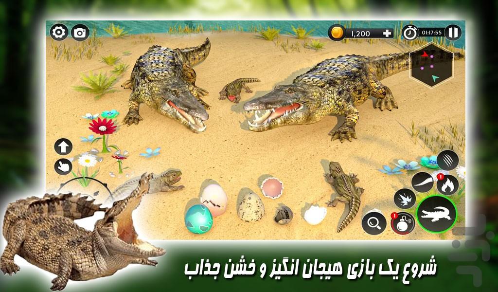 بازی حیات وحش کروکودیل ها - عکس بازی موبایلی اندروید