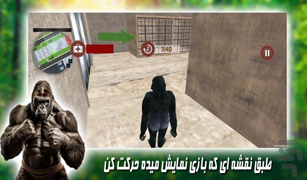 بازی فرار گوریل خشمگین - عکس بازی موبایلی اندروید