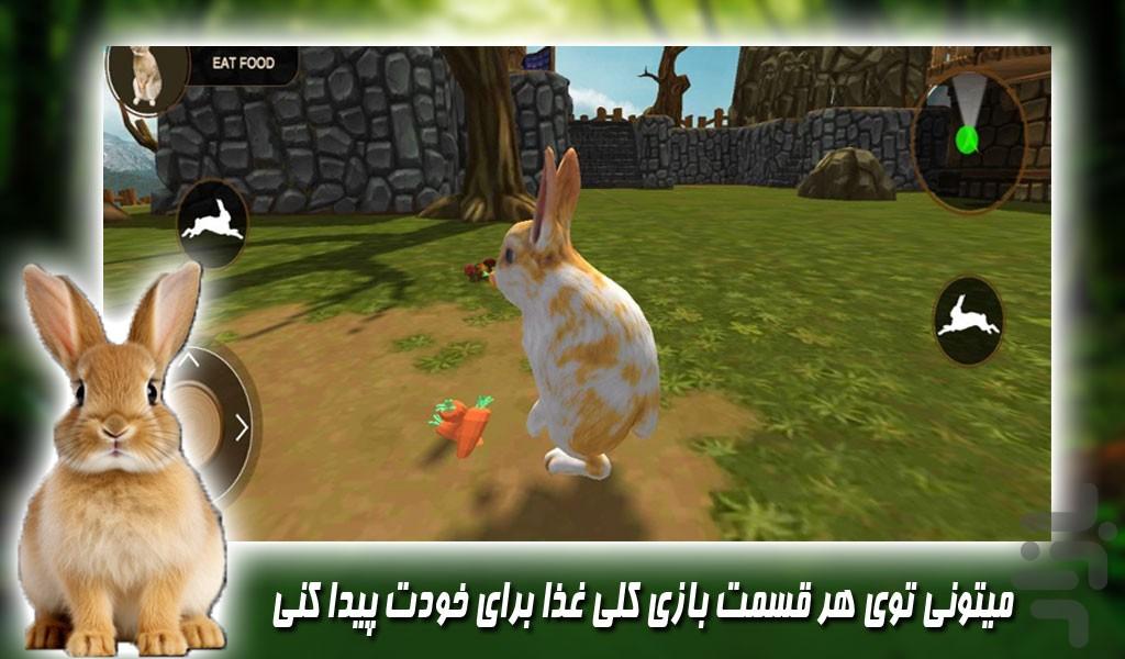 بازی جدید خرگوش کوچولو در مزرعه - Gameplay image of android game