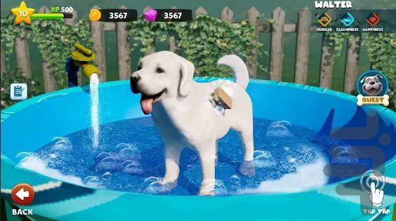 بازی شبیه ساز سگ خانگی - Gameplay image of android game