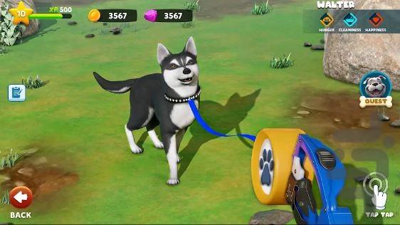 بازی شبیه ساز سگ خانگی - Gameplay image of android game