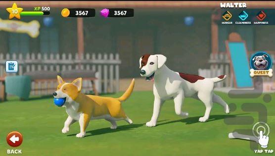 بازی شبیه ساز سگ خانگی - Gameplay image of android game