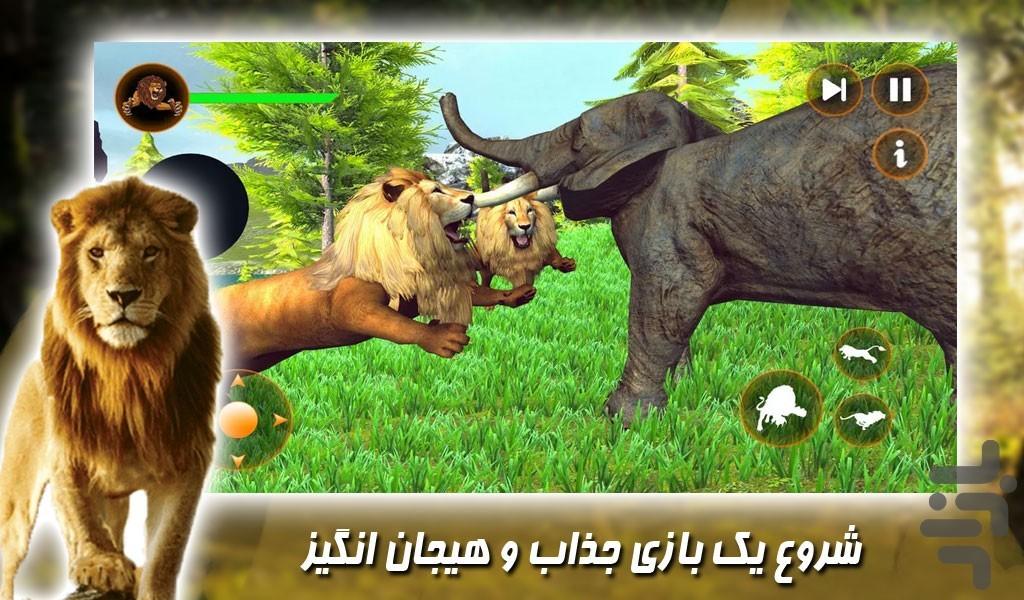 بازی حیات وحش شیر ها - Gameplay image of android game