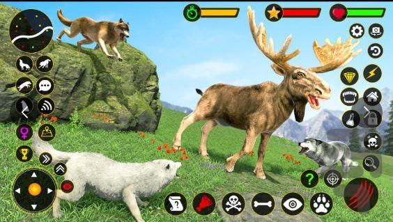بازی گرگ وحشی - Gameplay image of android game
