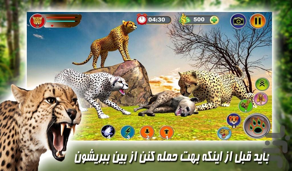 بازی زندگی یوزپلنگ های حیات وحش - Gameplay image of android game