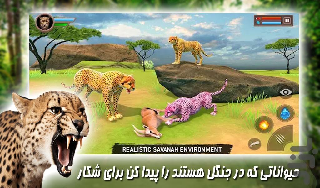 بازی زندگی یوزپلنگ های حیات وحش - Gameplay image of android game