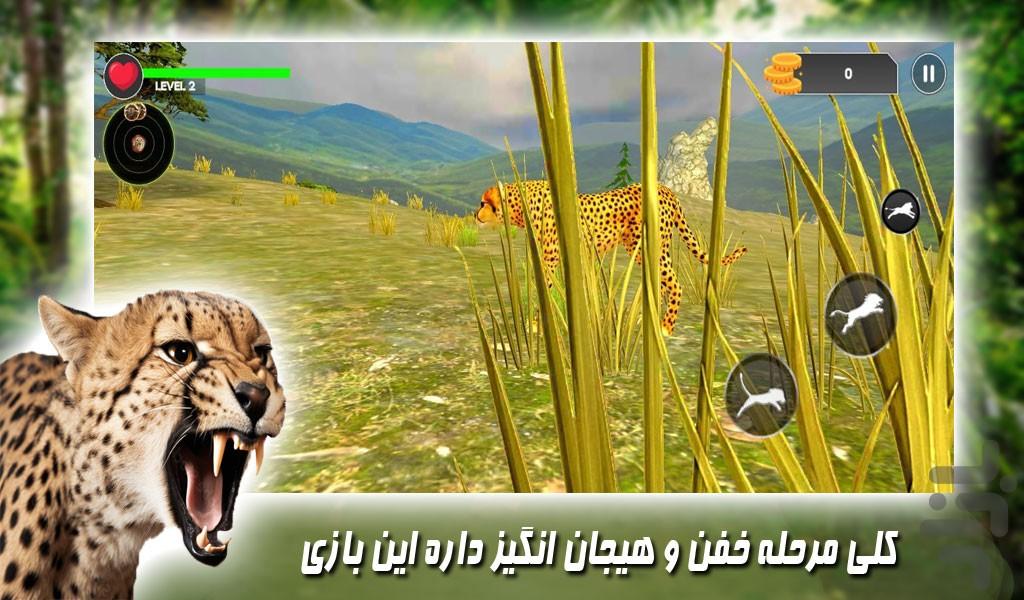 بازی زندگی یوزپلنگ های حیات وحش - Gameplay image of android game