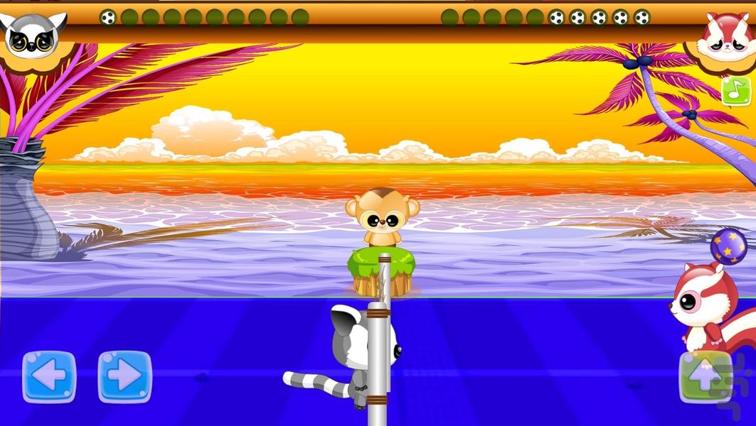والیبال حیوانات - Gameplay image of android game