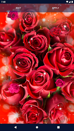 Elegant RedRose Live Wallpaper - Image screenshot of android app
