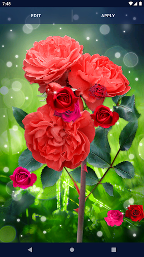 Elegant RedRose Live Wallpaper - Image screenshot of android app