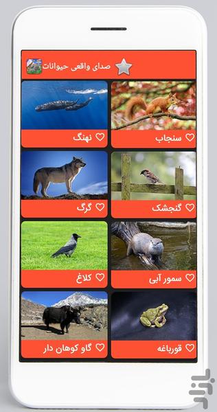 Real Animal Sounds‏ - Image screenshot of android app