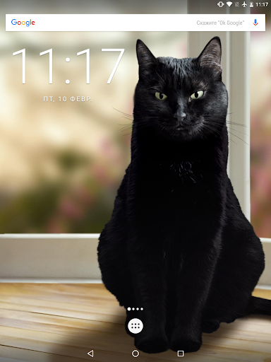 Cute Black Cat Live Wallpaper - عکس برنامه موبایلی اندروید