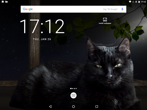Cute Black Cat Live Wallpaper - عکس برنامه موبایلی اندروید