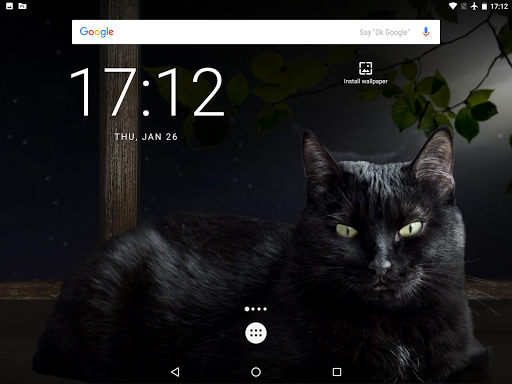 Cute Black Cat Live Wallpaper - عکس برنامه موبایلی اندروید