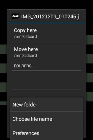 Send to SD card - Image screenshot of android app