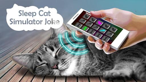 Sleep Cat Simulator Joke - عکس بازی موبایلی اندروید