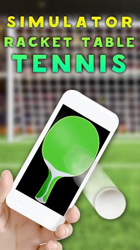 Simulatot Racket Table Tennis - Gameplay image of android game