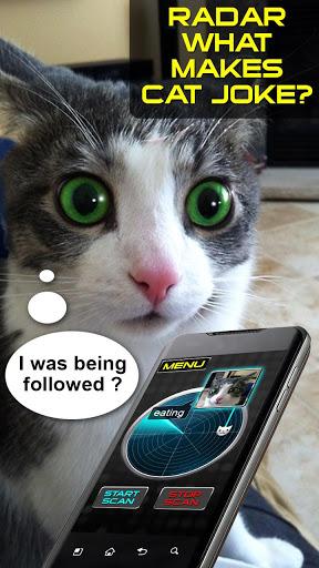 Radar What Makes Cat Joke - عکس بازی موبایلی اندروید