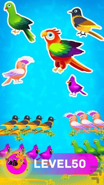 Color Birds Games - Gameplay image of android game